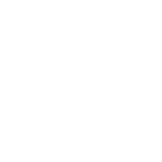 Rotary actuators