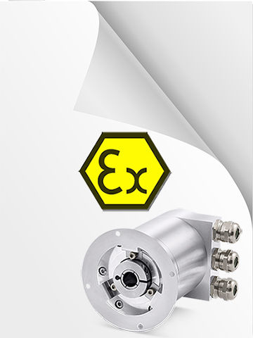 ATEX Declaration of Conformity XAC80 - XAC81 cat. 3